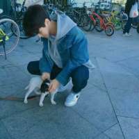 不知道有没有你们喜欢的，拿图 【我不能给你城堡、但