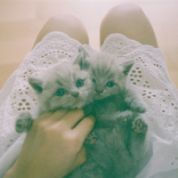 cute 有天若能有幸与你到老