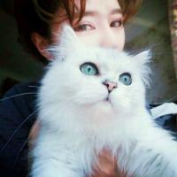 爱笑 11、想要成为别人，