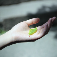 方 多少女人在委屈着落泪