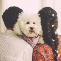 我们结婚吧【一】 人生至少有一次，为某