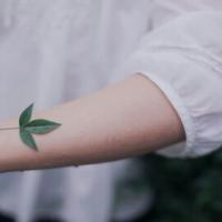 长情之后呢 我不怕世间万人与我为