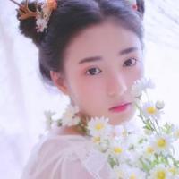 言：第二十七号巷尾 只因那天阳光很好 人