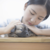 cute 我终于看透年少轻狂的