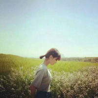 木木木木兮 美人如此多娇,英雄连