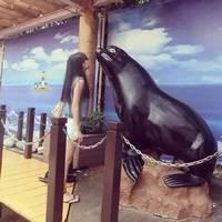 [挽离人：    离人怎挽.      ] 你会忘了我，然后爱别