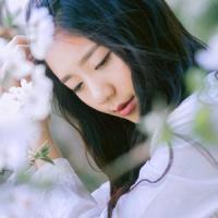 他在头七等你。 听醒木一声收说书人合