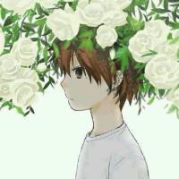 希望你们喜欢 真话都是在对话框里打