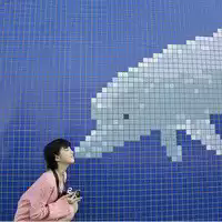 杂图 You ruined
