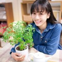 阿九 好马不吃回头草，除非
