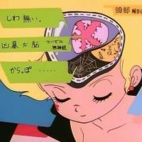 孤岛 其实最遗憾的是从来没