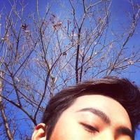 孤岛 其实最遗憾的是从来没