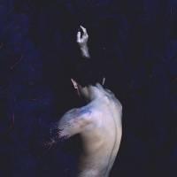 菊：只是凑巧没人发 以人类的体型，猪的习