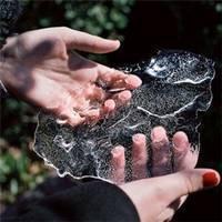 菊：学妹约吗 爱情是昂贵的橱窗，陈