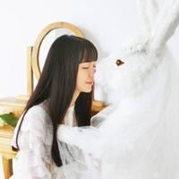 菊：真的好累 〆、前尘往事断肠诗，
