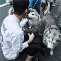 你说： “好图永远藏在最里面“ 大道理人人都懂，小情