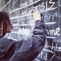 【菊】图好人气差 我酷成这样，你也不管