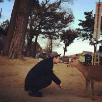 执扇掩笑 众口难调取悦不易 出