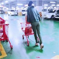 违许 向日葵追随太阳.仅是