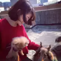 歖就别怂. 不见面不等于不思念，