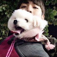黎 爱着你从未想过要放手