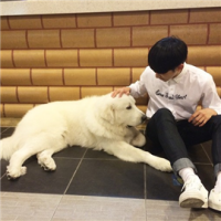 吻过风 如果你已经尽了最大的