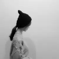 情话 红豆生南国，春来发几