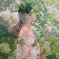 第一期-      时光她很美 钢琴键上黑色白色交错