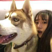 太多的情绪没适当的表情 一个规则，不轻易坠入