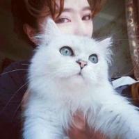 21 你说世间什么最难熬