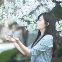 我抬头看见爱不在，整