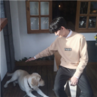 成年人为什么喜欢玩这