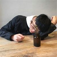 庸 狮子不跟野狗玩这是天