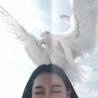 乐观者在灾祸中看到机