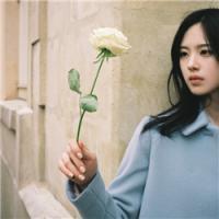 情是什么 你是什么 生活就像一盒巧克力，