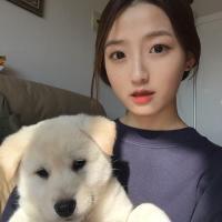 张起灵 努力与自由五五分 努