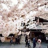 轻抚着我的头发 我还