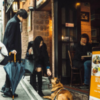 何以了解 可能大部分的失望 是