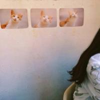 连篇情话。 男人的好、只有身边的
