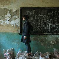 FYQ 你在远方 是不是曾经没心没肺，