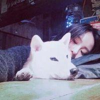 柠子： 道理你懂个屁 你只知