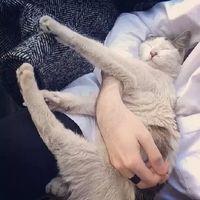 有时候我承认，守在你