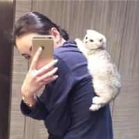 摆渡红尘你牵了谁的手
