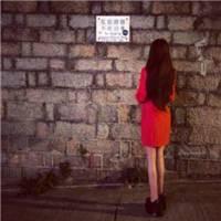 蜂鸟展翅、蜘蛛结网、