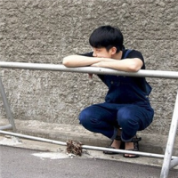 想象 薄云又覆一夕阳，梦语