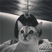 女头 你偶尔无关痛痒的问候