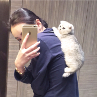 独家珍藏 为什么要吵架呢？我们