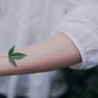 情初：给我一个理由忘记那么爱我的你 i 仍坚持向经过的手指致