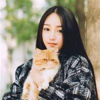 gù yán 如果没有悲伤， 幸福