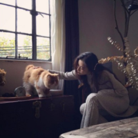 等你还不如等死 至少